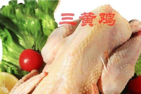 三黄鸡是下架鸡吗