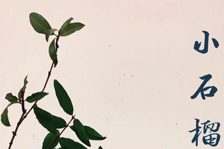 小石榴怎么腌制