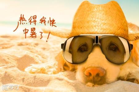 天气热销售幽默文案