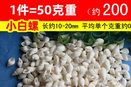 贝壳是如何生小贝壳的