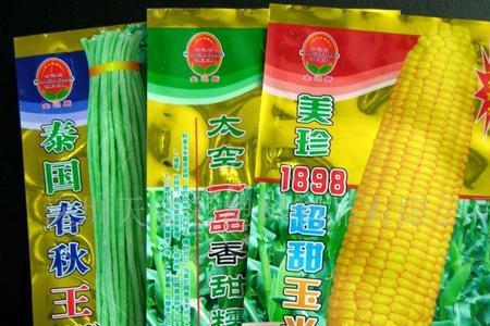 中正107玉米种子