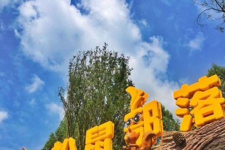 松鼠公园游玩攻略