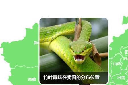两广地区适合种什么