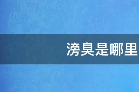 哏赳赳是哪里的方言