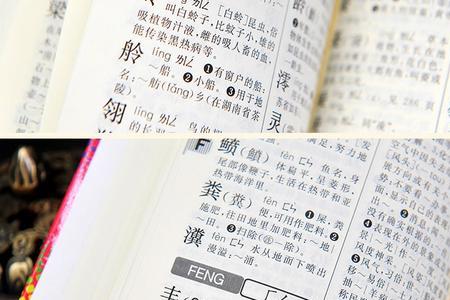 介绍字典的说明方法