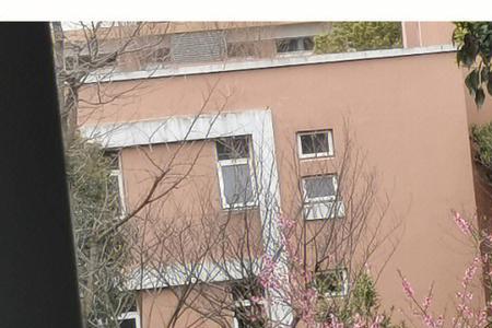 窗外桃花宛若云霞的意思
