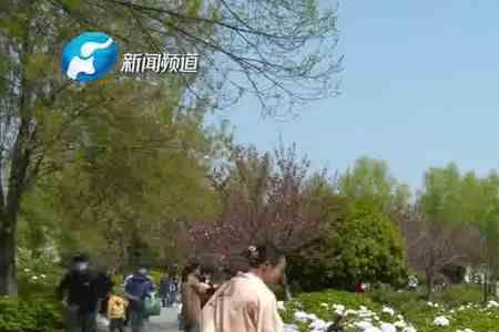 隋唐植物园清明节开放吗