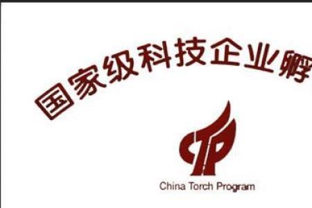 公司孵化项目没有成功如何奖励