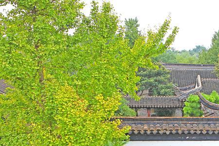 曲宗贡旅游景点