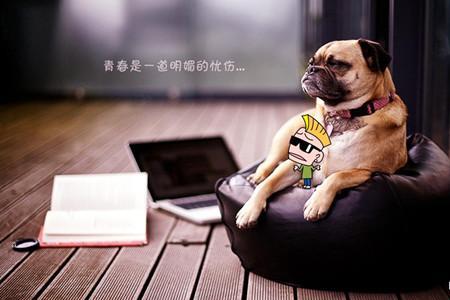 小明是什么网络用语