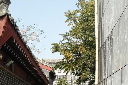 聊城冬天适合父母逛的地方