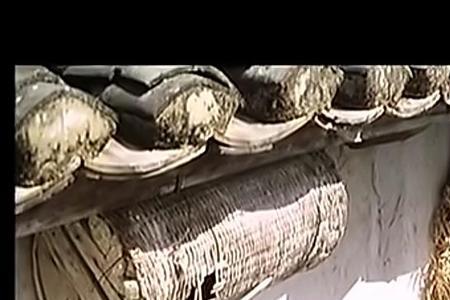 地狱无门里阿莲结局是什么意思