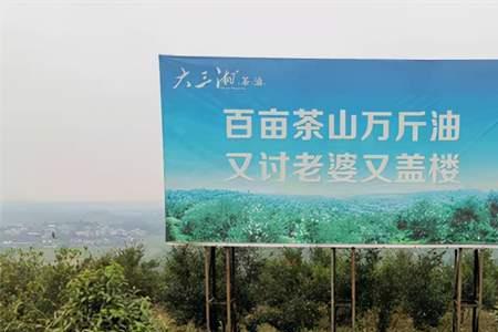 衡阳郴州出茶油吗