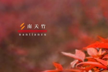 南天竹和红枫区别