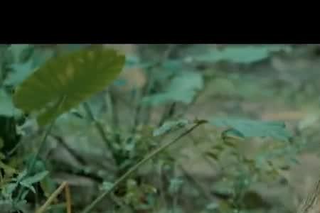 荒岛求生电影真实故事