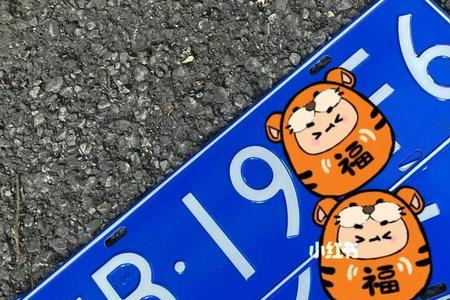 深圳p字头的是什么车