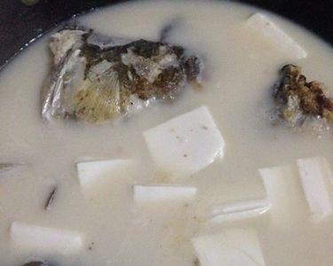 鱼头豆腐汤用什么样的豆腐