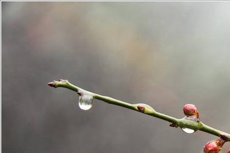 怎么写春雨的比喻句