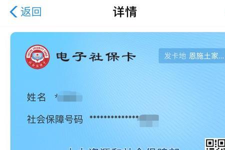 恩施社保app怎么缴费