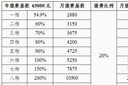 宜昌交社保才能交公积金吗
