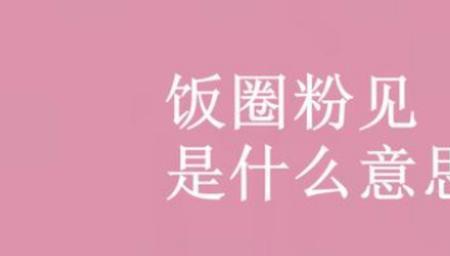 王八饭圈什么意思
