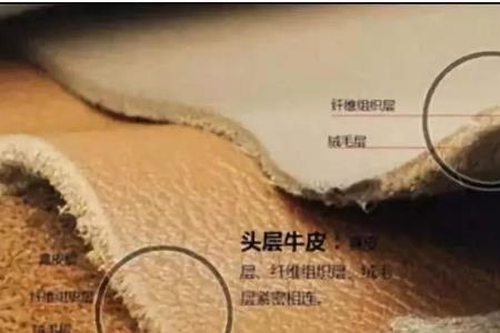 pvc和头层牛皮哪个好