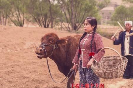 风中兰花花原唱