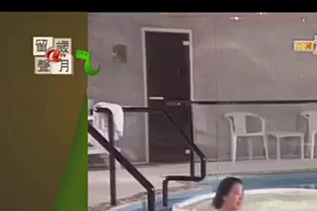 今夜不设防张红是谁演的