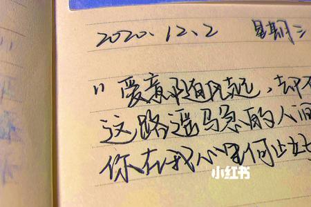 入目无她人满眼皆是你什么意思