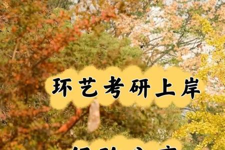 环艺考研一般都考什么专业课