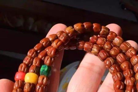 百香籽龙爪价值高吗