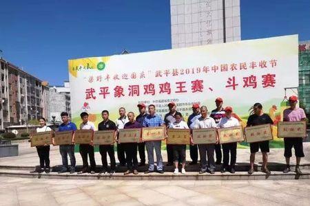运动会大丰收集体奖怎么写