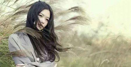 与世无争什么意思