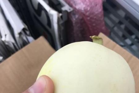 阎良甜瓜白心和黄心哪个口感好