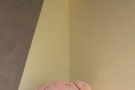 抖音小香猪是男孩还是女孩