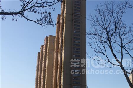 无锡世茂公馆为啥卖不动