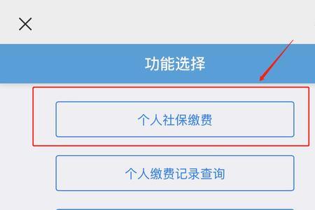 安徽宣城网上医保怎么缴费个人