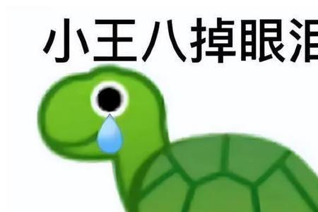 王八肚子什么色的