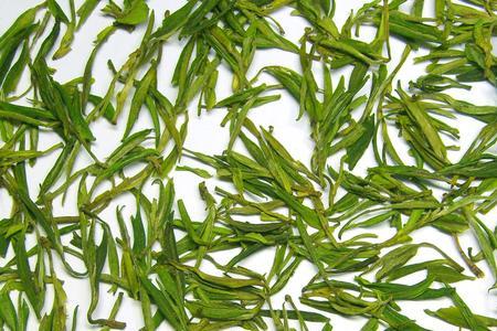 崇阳黄茶属于什么茶