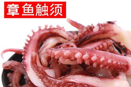 鱿鱼脖好吃还是鱿鱼须好吃