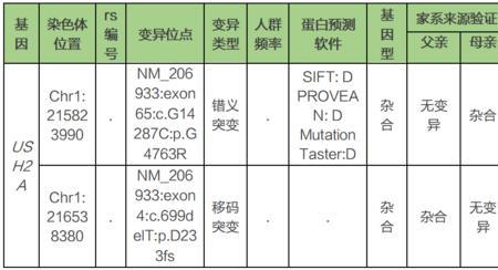两个人之间的基因可以差多少