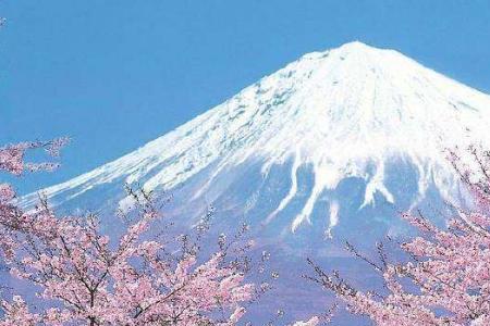 富士山的瓜是啥