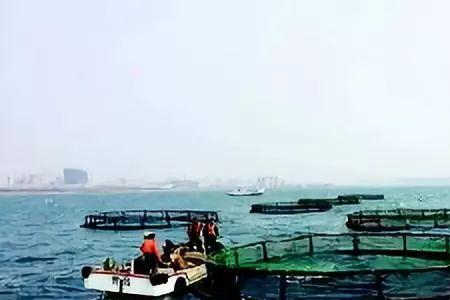 青岛最近的虾池钓鱼地点