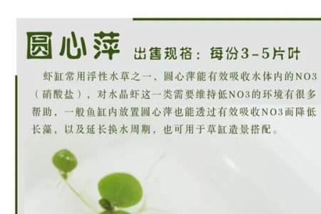 圆心浮萍适合养哪种鱼