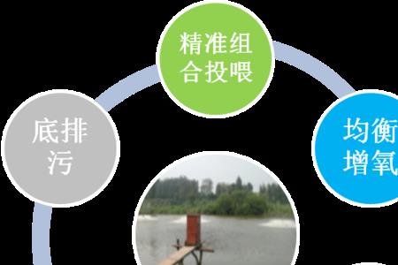 高效氯氰菊酯在鱼池上怎么用
