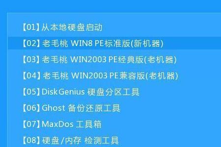 pe工具可以改pin码吗