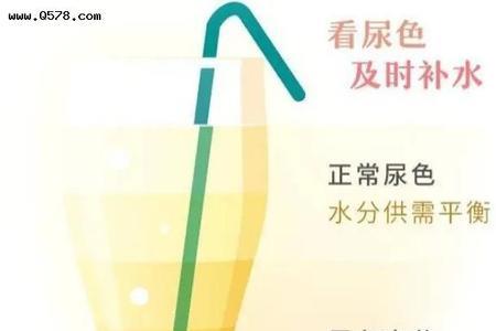 人尿和人粪尿区别