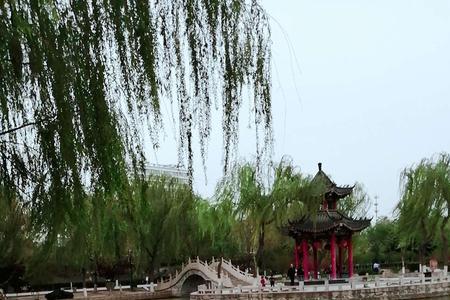 诗情荡漾的意思