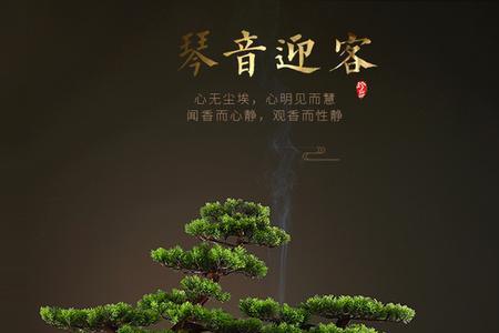 迎客松盆栽适合放办公室吗