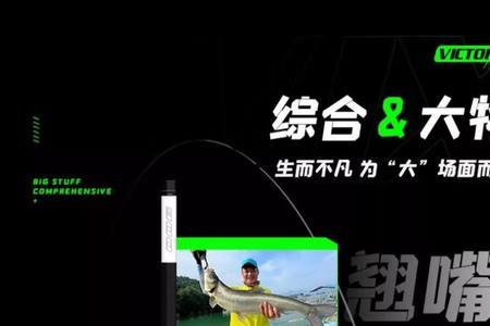 化氏vix和ex的区别